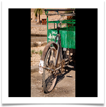 Egypt_2974_Bike_B - Wynford Evans